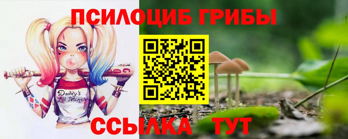 Галлюциногенные грибы Psilocybe Ногинск