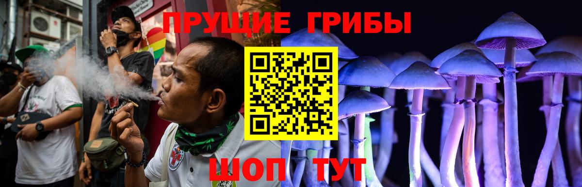Галлюциногенные грибы Psilocybe  закладка  Ногинск  Вход с VPN 